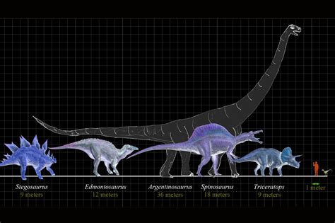 Dinosaur Size Comparison Chart