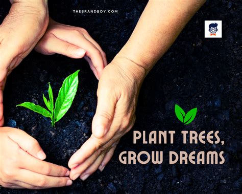 872+ Catchy Tree Plantation Slogans and Sayings (Generator + Guide) - thebrandboy.com