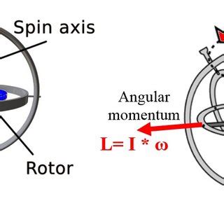 Feel the gyroscopic precession forces tilting a spinning wheel. | Download Scientific Diagram