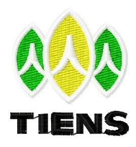 Tiens logo embroidery design