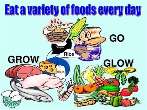 😊 Go grow glow foods meaning. Food group. 2019-02-27