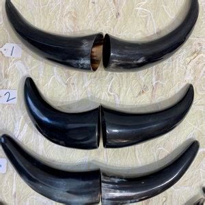 Paired Polished Water Buffalo Horns - Etsy