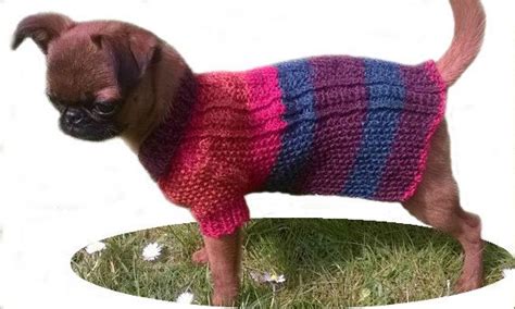 XXS knit Dog Coat, Cable design, Extra Small dog clothing, Small Dog ...