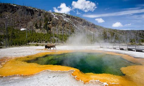 17 Inspiring RV Camping Spots Near Yellowstone | Perfect Campers