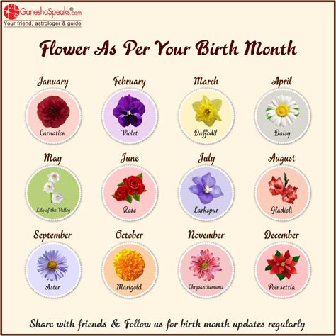 Birth Month Flower | Birth month flowers, February birth flowers, Birth ...