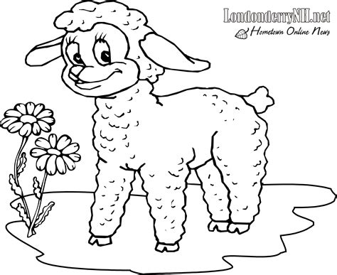 Mary Had A Little Lamb Drawing