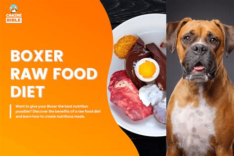 Raw Dog Food Diet Boxers Guide: Recipes, Benefits & FAQs - Canine Bible