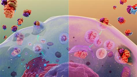 The Wonders of Cytosis: A Medical Primer