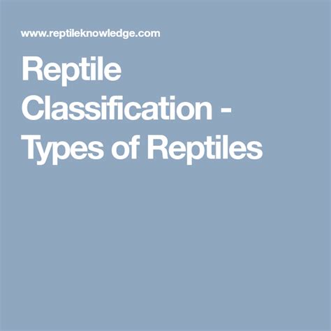 Reptile Classification - Types of Reptiles | Reptiles, Classification, Reptilia