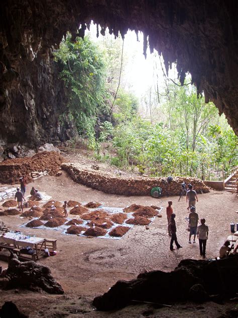 Indonesian ‘Hobbits’ may have died out sooner than thought – Griffith News