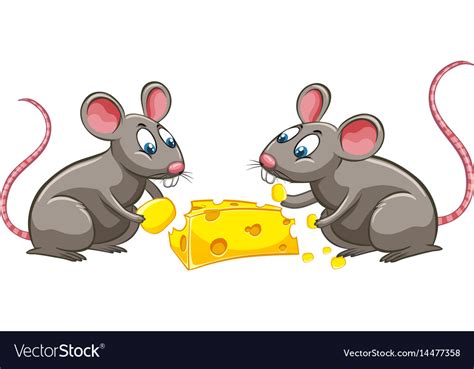 Two rats eating cheese Royalty Free Vector Image
