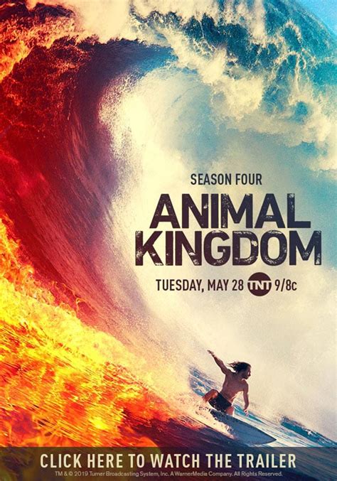 TNT Releases Animal Kingdom Trailer - Pop Culture Madness Network News