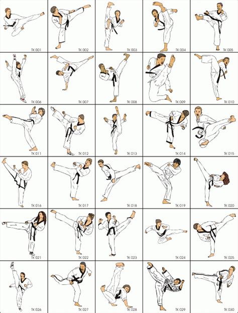 almost every kick | Art martiaux japonais, Karaté, Karaté kyokushin