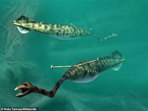 Mysterious 300-million-year-old 'Tully monster' may not be the creature scientists thought it ...