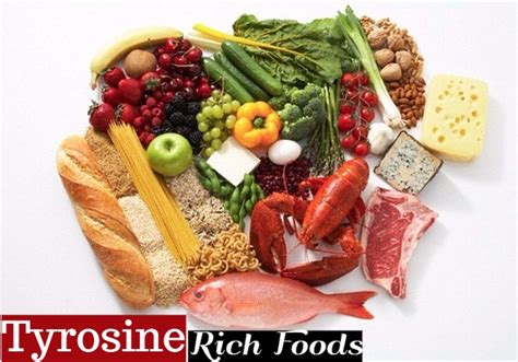 Foods Rich or High in Tyrosine You Can Eat - Stylish Walks