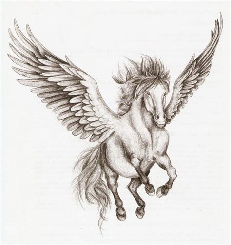 pegasus drawing - Yahoo Search Results Yahoo Image Search Results | Idee per tatuaggi, Disegni ...