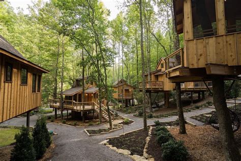 Treehouse Grove in Gatlinburg, TN Photo credit: @medianortheast tenesse | Gatlinburg, Tree house ...