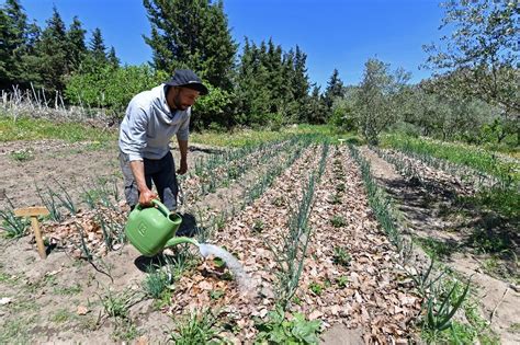 Planet-friendly farming takes root in drought-hit Tunisia