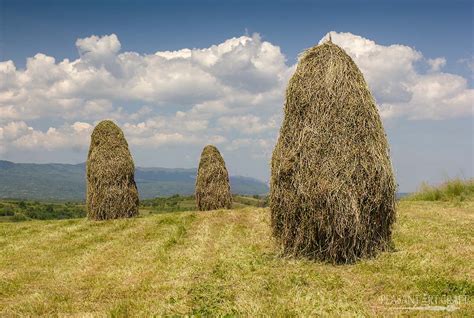 Hay Making in Romania - Crafting Haystacks, Mowing, Scything