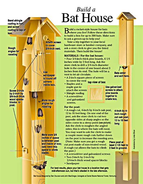 Bat House Plans - WoodWorking Projects & Plans