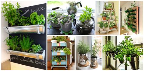 15 Incredible Ideas For Indoor Herb Garden