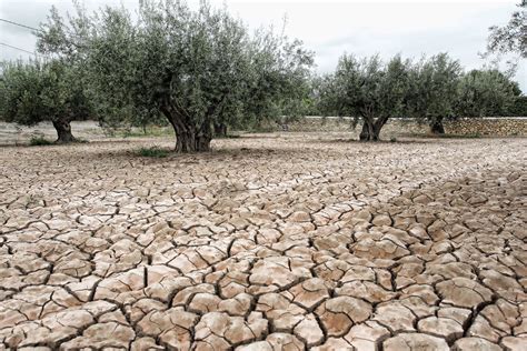 España es el país europeo más afectado por el calentamiento global