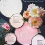 Paint Palette - Pink Blossom - Interiors By Color