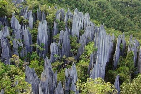 Malaysia’s best kept secret: Gunung Mulu National Park – MALAYSIA WORLD ...