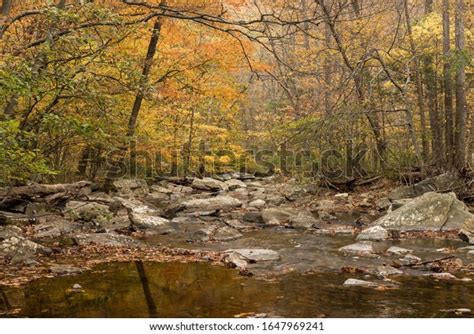 65 Catoctin Mountain Park Stock Photos, Images & Photography | Shutterstock