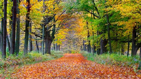 8 places to see fall foliage in Massachusetts | Boston.com