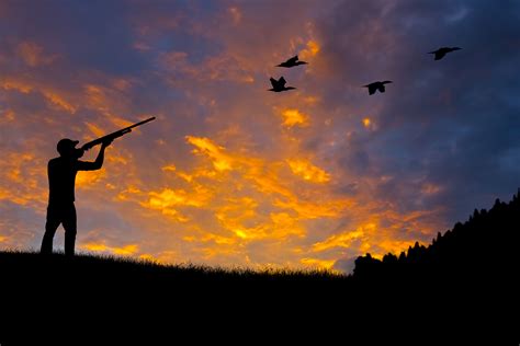 All signs point to exceptional dove-hunting season | Williams-Grand ...