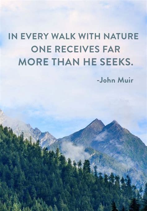 “In every walk with nature one receives far more than he seeks.” — John Muir | Nature quotes ...