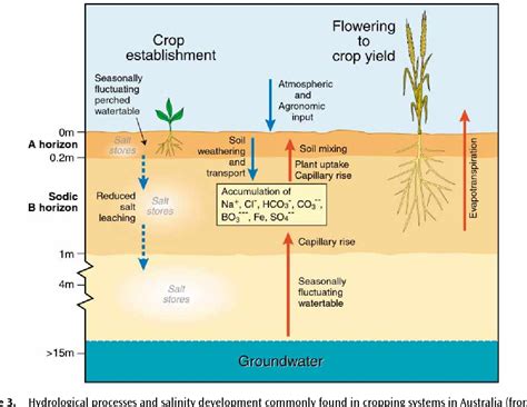 Figure 1 from Soil – environment impacts Land Degradation Processes | Semantic Scholar