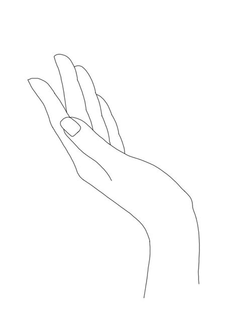 Women's hand linear line drawing minimal illustration by The Colour Study | How to draw hands ...