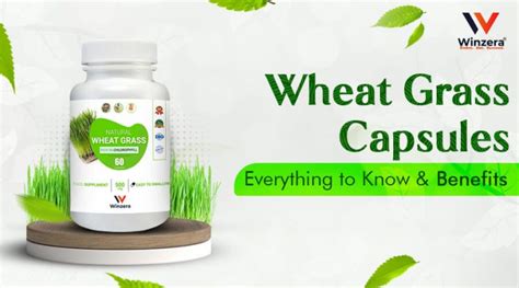 Wheatgrass Capsules: Benefits, Weight Lose, Boost Immunity & More