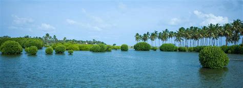 Kalpitiya Lagoon | Attractions in Kalpitiya | Love Sri Lanka