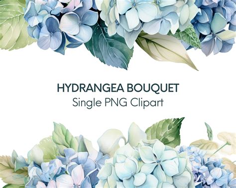 Hydrangea Clipart Borders