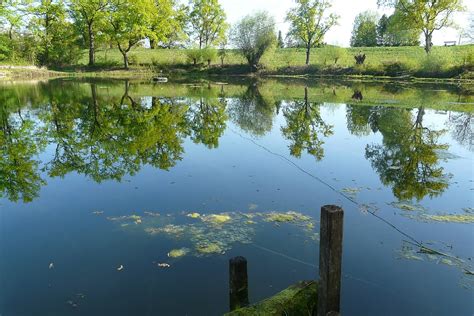 Free photo: Pond, Water Reflection, Idyllic - Free Image on Pixabay - 734608