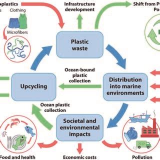 An overview of the sources of microplastics, their implications and ...