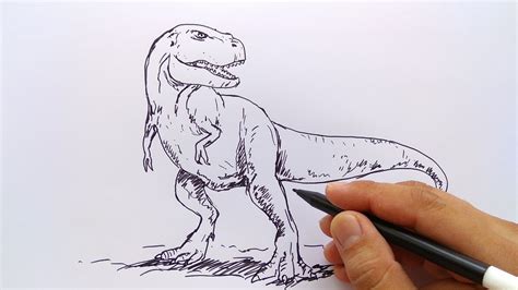 Gambar Sketsa Hewan Dinosaurus - Contoh Sketsa Gambar