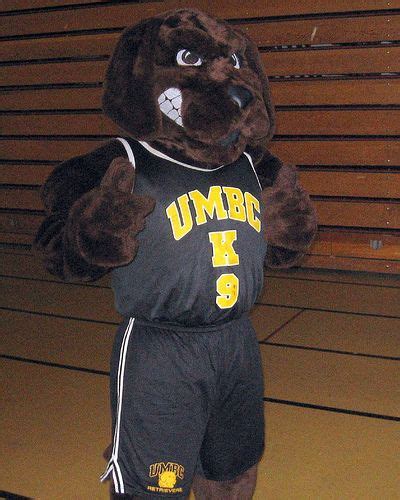 UMBC Retrievers mascot, True Grit Chesapeake Bay Retriever, True Grit, Mascot, Canada Goose ...