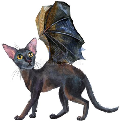 Watercolor Oriental Black Cat with Bat Wings. Painting Animal Illustration Stock Illustration ...