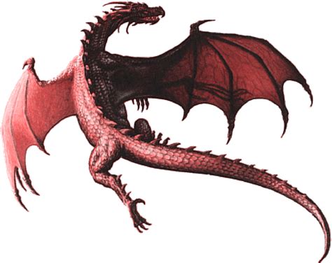 Dragon PNG Transparent Images | PNG All