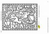 Tropical Rainforests Coloring Pages  Home sketch template