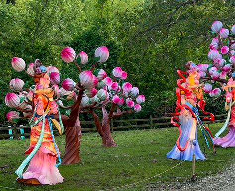 Experience the Enchanting Asian Lantern Festival at the Cleveland Metroparks Zoo • CompassOhio