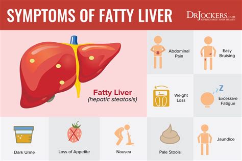 Fatty Liver: Symptoms, Causes and Natural Support Strategies | Fatty liver disease symptoms ...