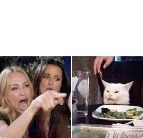 Woman Yelling At a Cat Meme - Template