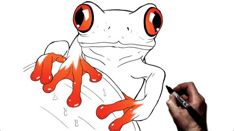 How To Draw A Tree Frog | Step By Step - YouTube