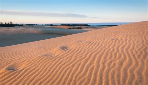 10 Fascinating And Amazing Facts About Dunes City, Oregon, United States - Tons Of Facts