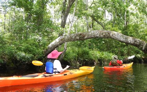 Adventures Up The Creek Canoe & Kayak Tours in Jacksonville, FL